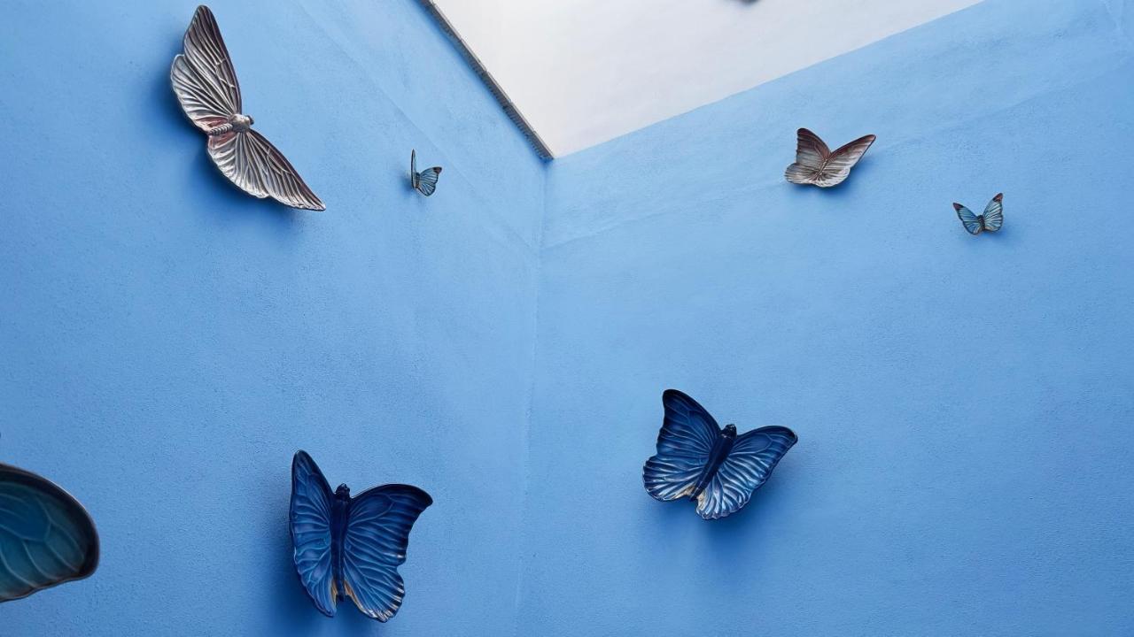 Casa Alhaja By Shiadu Ξενοδοχείο Σεβίλλη Εξωτερικό φωτογραφία